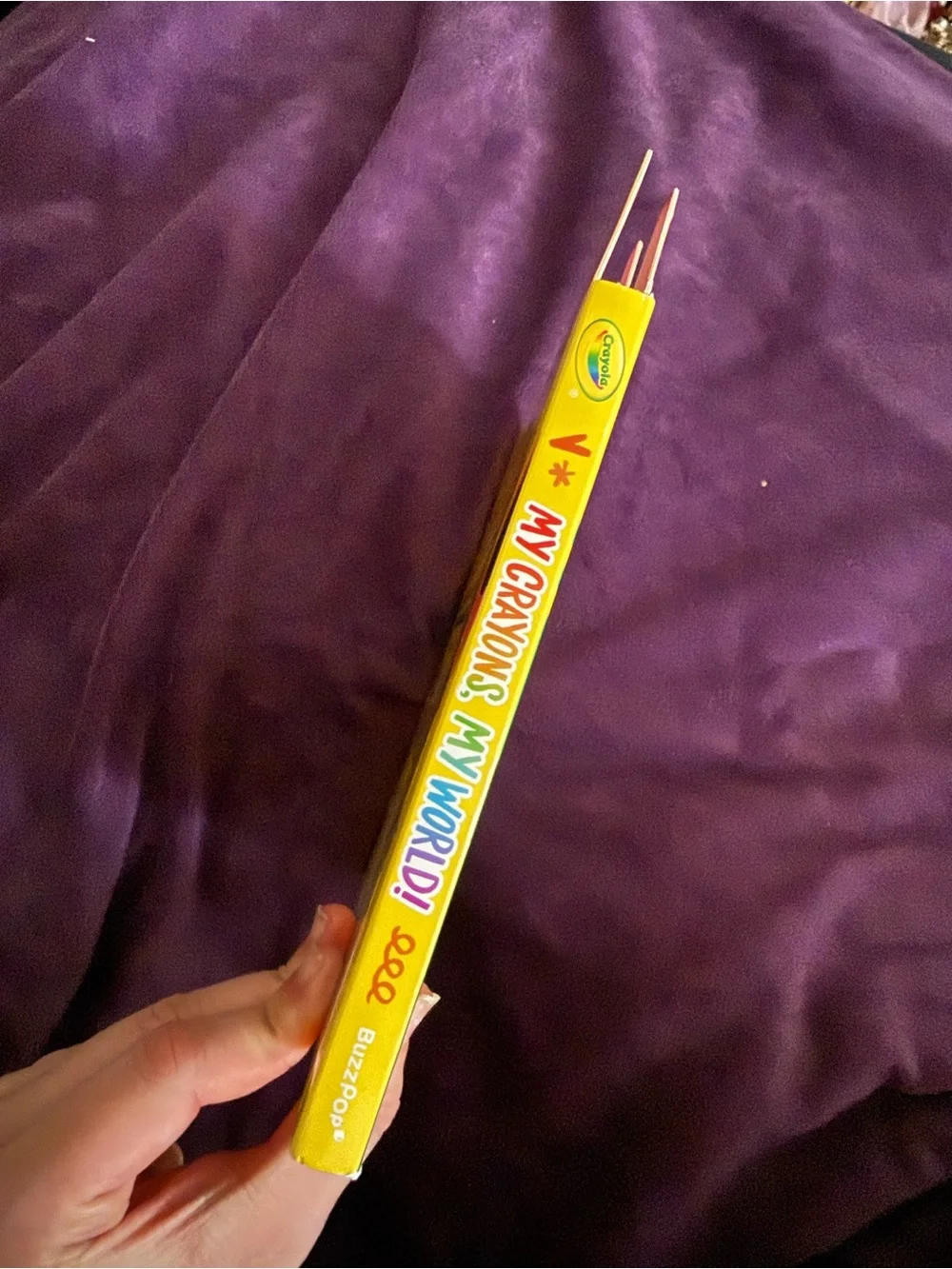 Crayola My Crayons, My World! Kids board book!